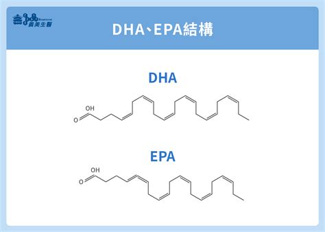 epa結構|純EPA魚油與DHA+EPA綜合魚油的差別？我適合那種。